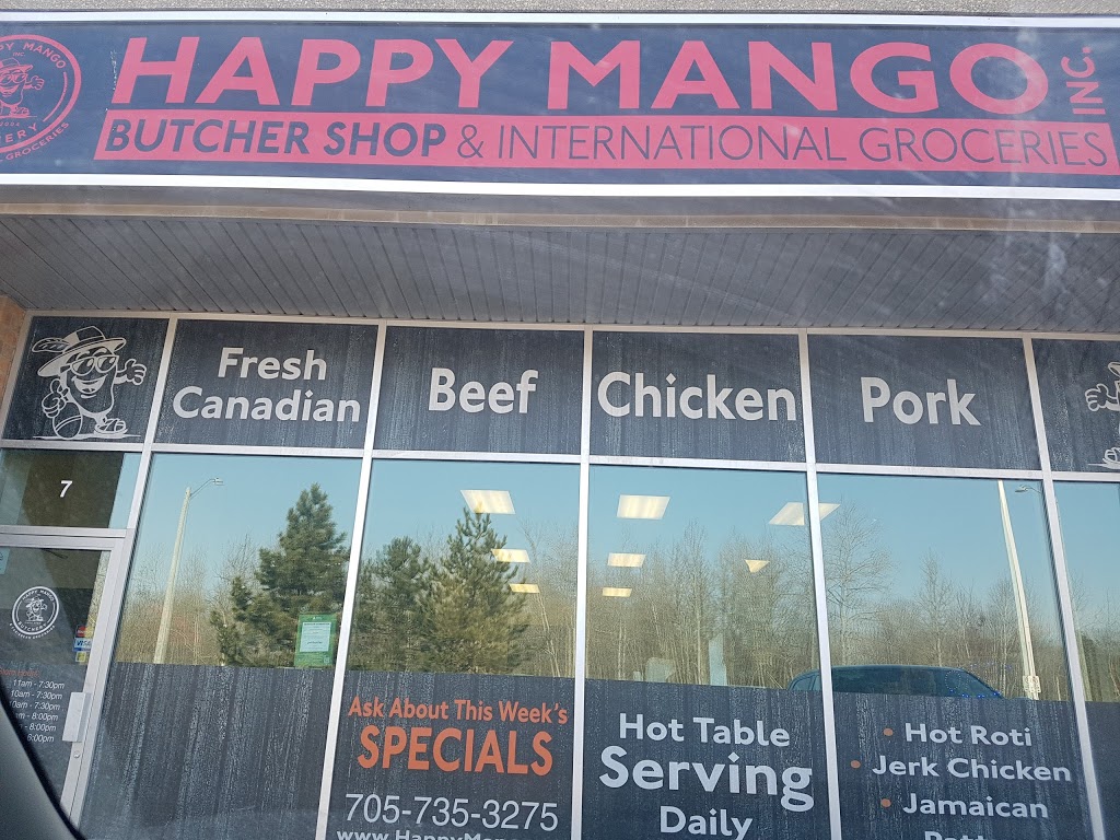 Happy Mango Inc | 237 Mapleview Dr E, Barrie, ON L4N 0W5, Canada | Phone: (705) 735-3275