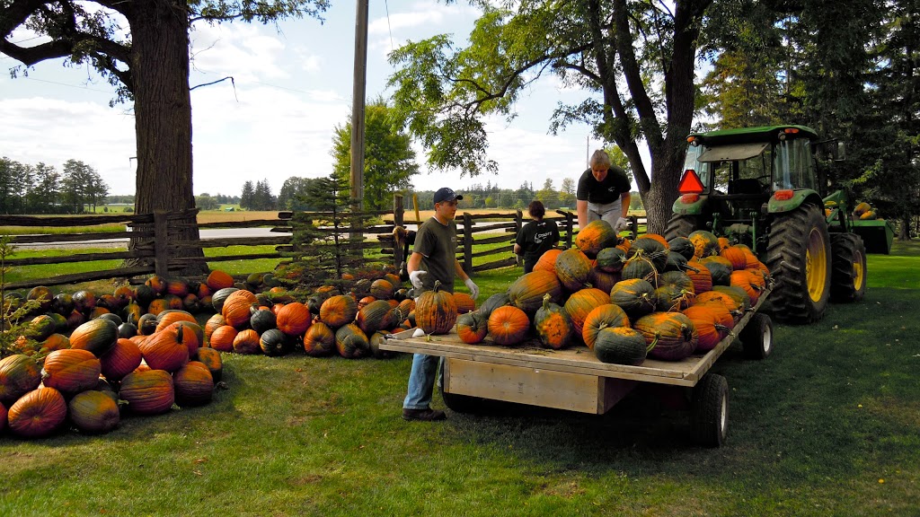 Stroms Farm & Bakery | 5089 Wellington Rd 32, Guelph, ON N1H 6J4, Canada | Phone: (519) 822-1070