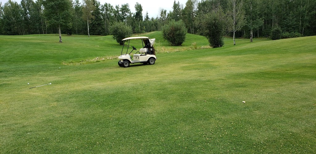 Grouse Nest Golf Course | 53318 Range Rd 31, Parkland County, AB T7Y 0E3, Canada | Phone: (780) 892-2006