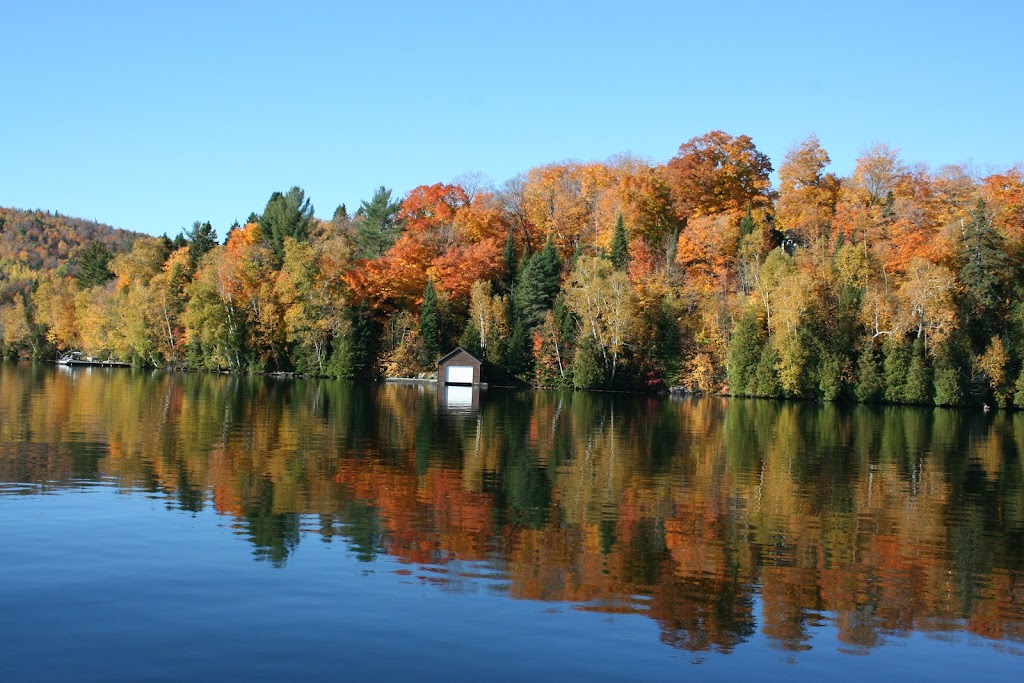 Ski de fond Mont-Tremblant | 251 Chemin Clément, Mont-Tremblant, QC J8E 1N8, Canada | Phone: (819) 425-5588