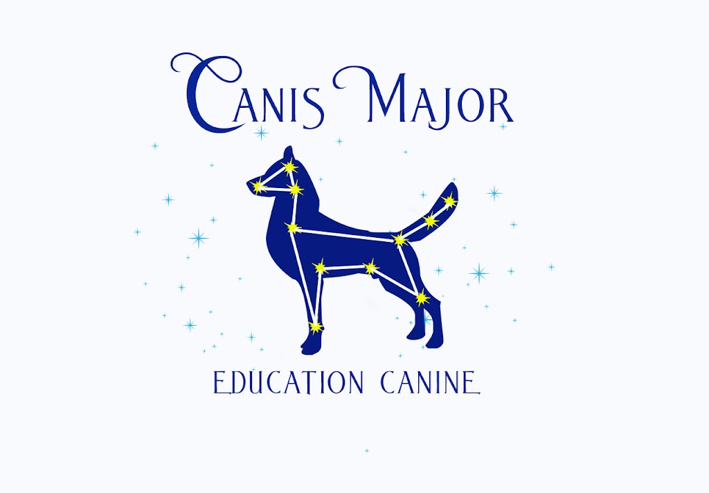 Canis Major Éducation Canine | 3524 Rue Ulric-Dubois, Saint-Hubert, QC J3Y 0V3, Canada | Phone: (514) 805-4980