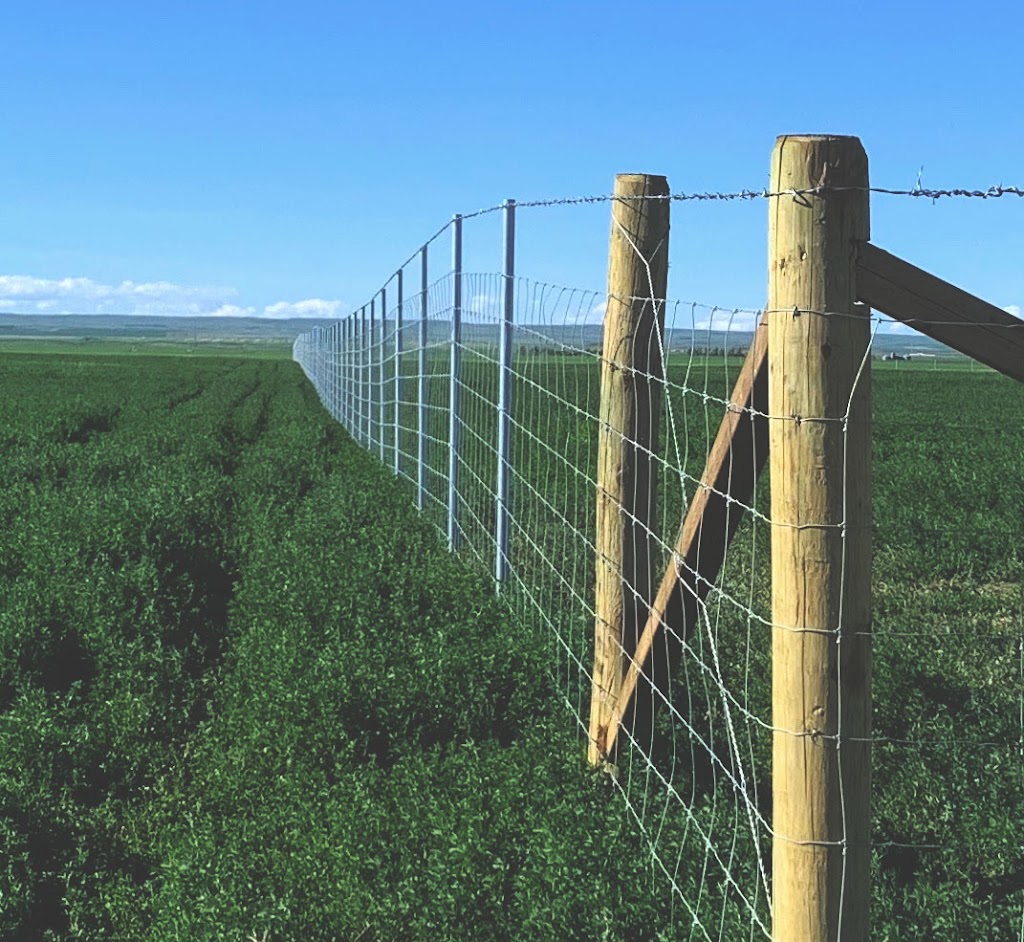 Wild West Fencing | 220077, Township Rd 81, Lethbridge, AB T1K 8G5, Canada | Phone: (403) 382-7013