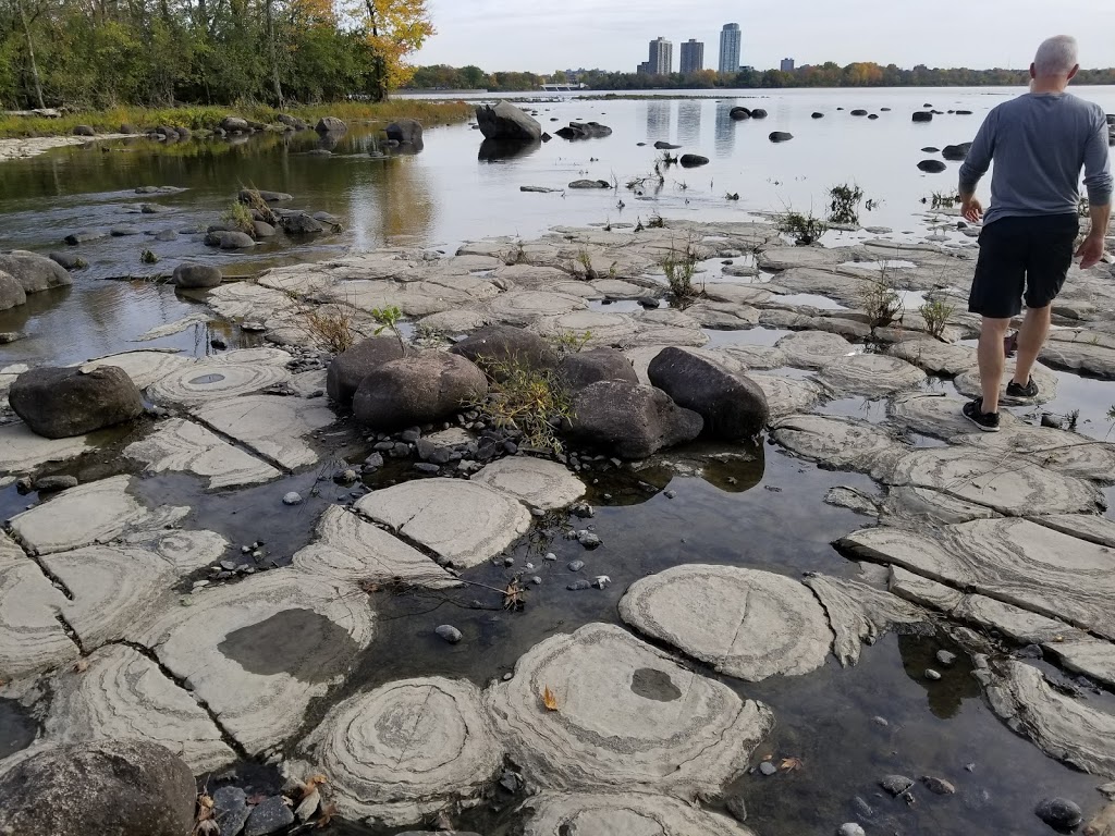 Stromatolites | Sentier des Voyageurs, Gatineau, QC J9H 7K9, Canada