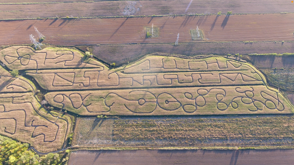 Labyrinthe Galaxie | 30 Mnt des Quarante-Deux, Sainte-Julie, QC J3E 1Y1, Canada | Phone: (450) 649-1777