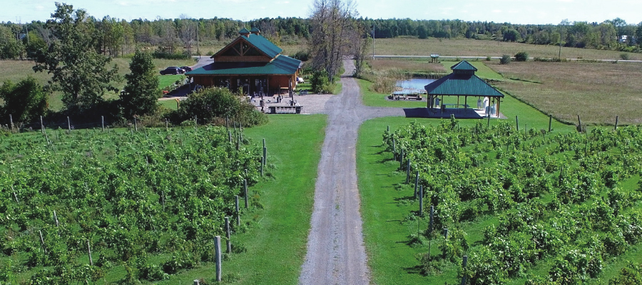 Jabulani Vineyard and Winery | 8005 Jock Trail, Richmond, ON K0A 2Z0, Canada | Phone: (613) 454-5460