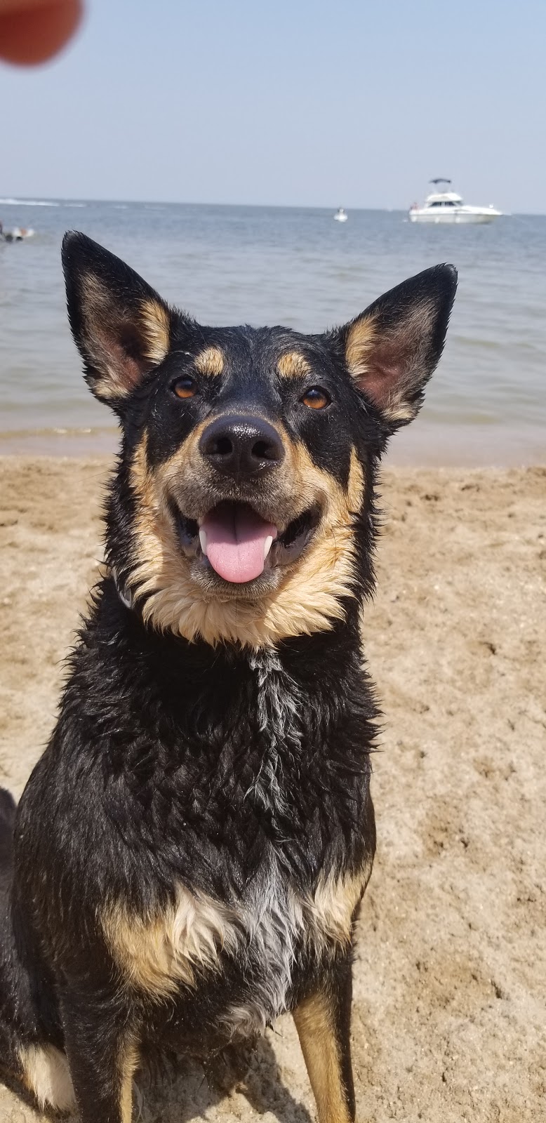 Winnipeg Beach Dog Beach | Winnipeg Beach, MB, Canada