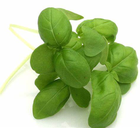 Wonderful Microgreens Inc. | 740 Arthur Parker Ave, Woodstock, ON N4T 0G8, Canada | Phone: (416) 580-5890