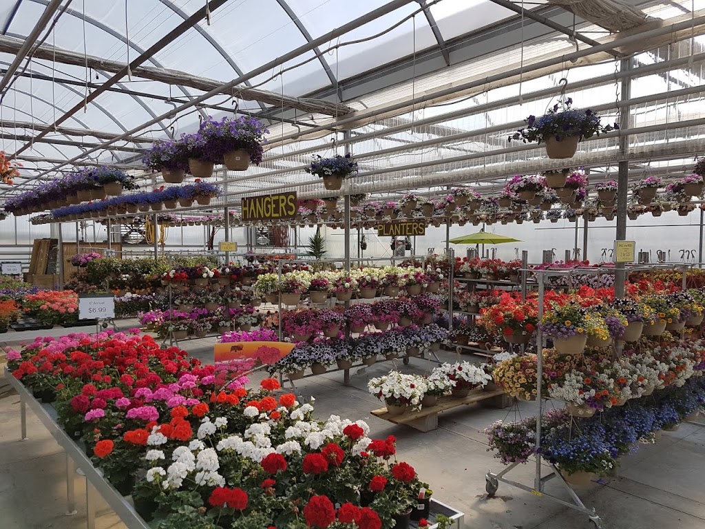 Aspen Greenhouses | 1-40032, Range Rd 283, AB T4M 0X7, Canada | Phone: (403) 885-4516