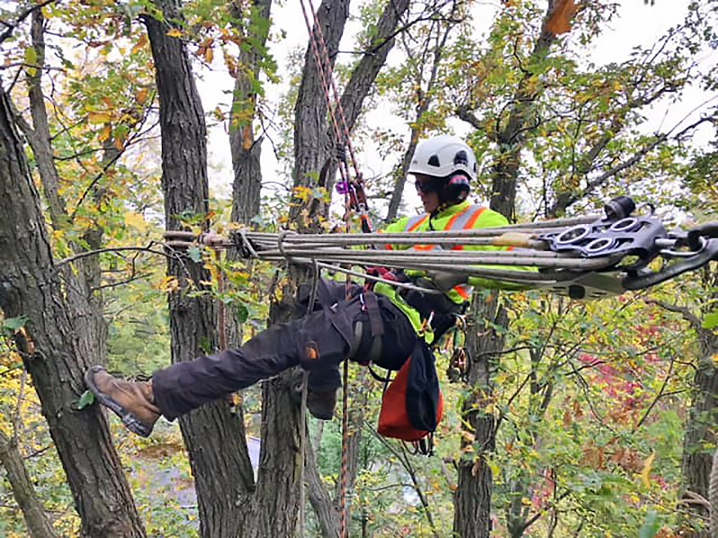 Everest Tree Care Ontario Inc. | Whitchurch-Stouffville, ON L0H 1G0, Canada | Phone: (905) 505-6033