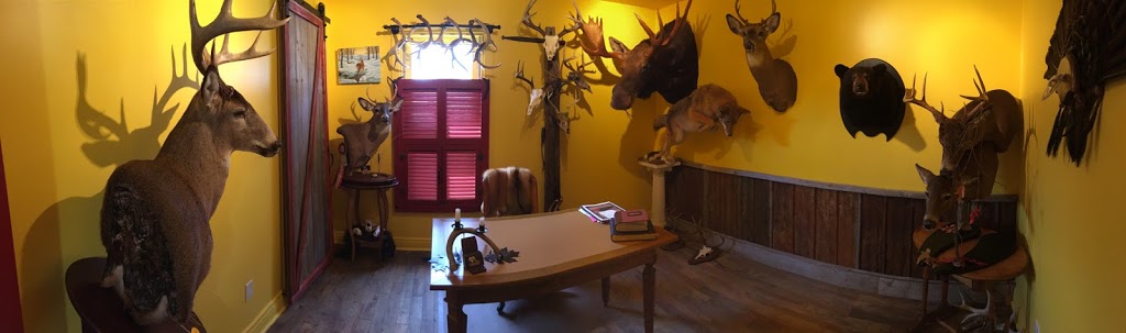 Alain Paquette Taxidermiste | 139 Rue Saint-Étienne, Saint-Damase, QC J0H 1J0, Canada | Phone: (450) 797-3460