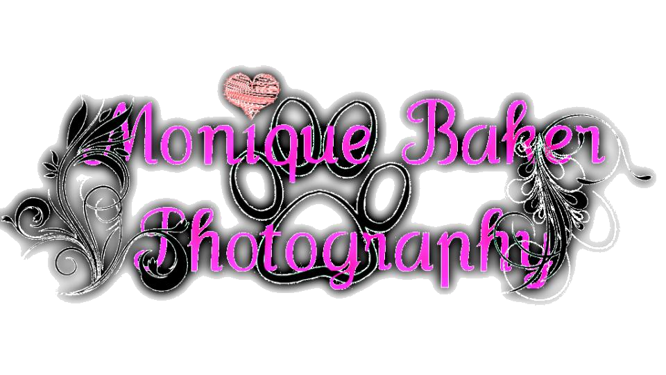 Monique Baker Photography | 5500 Somervale Ct SW, Calgary, AB T2Y 4L9, Canada | Phone: (403) 357-6620