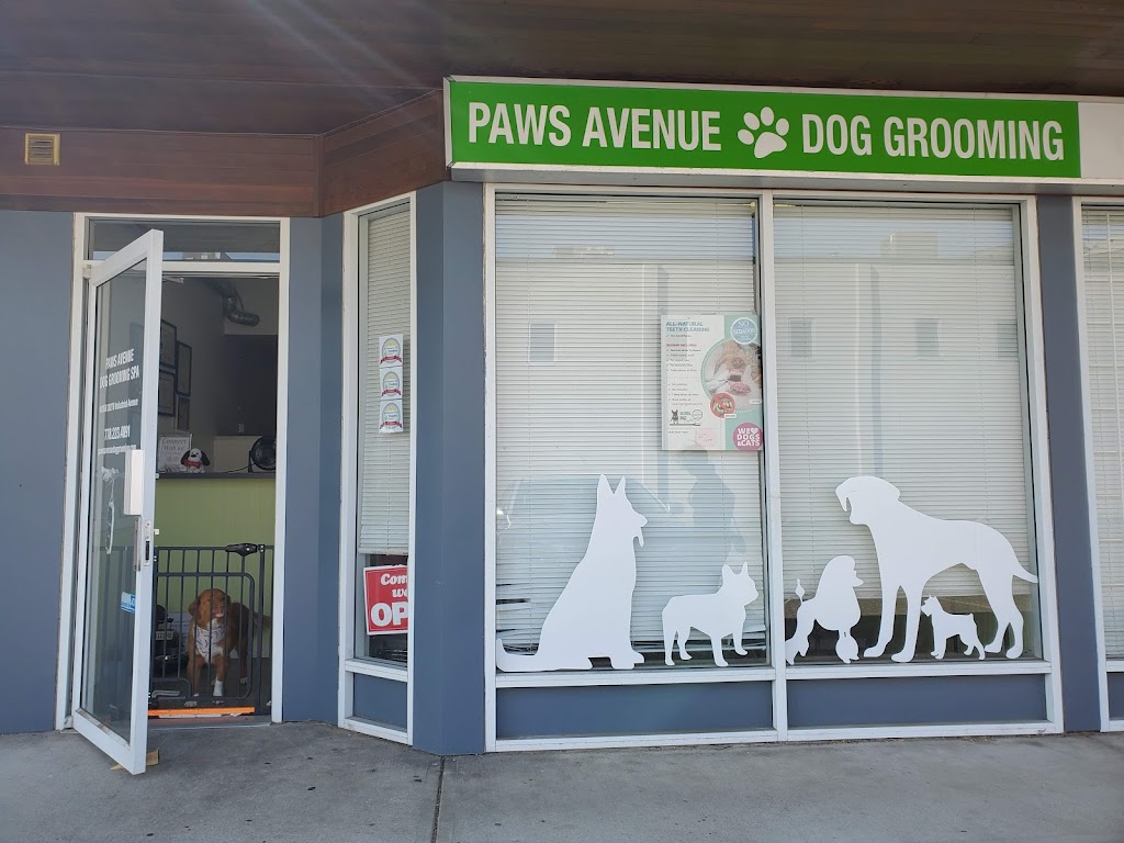 Paws Avenue Dog Grooming Spa | 20270 Industrial Ave #105b, Langley, BC V3A 4K7, Canada | Phone: (778) 223-4891