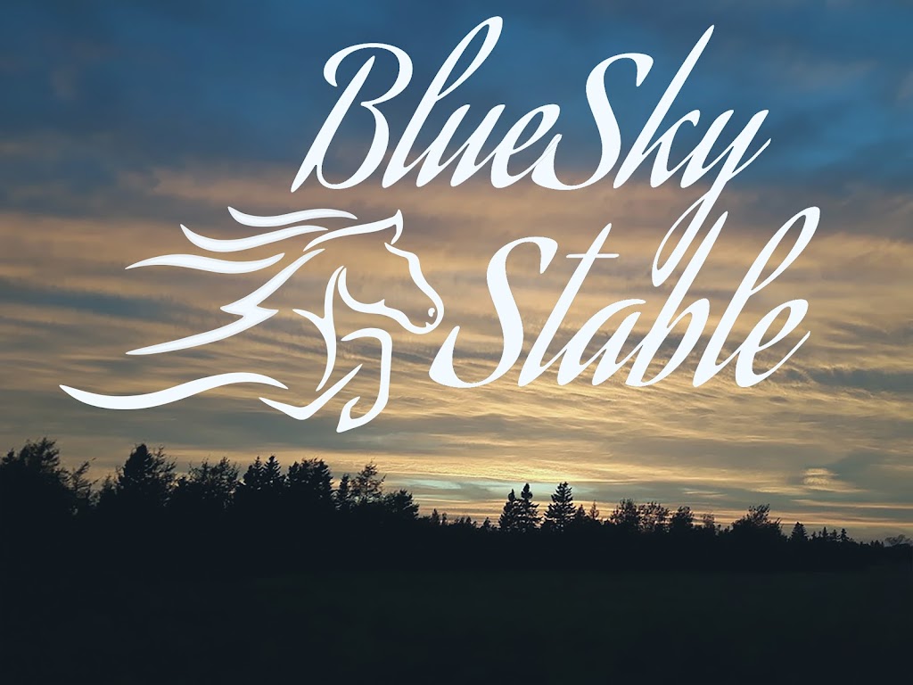 Blue Sky Stables | 370 Diversion Rd, Ellerslie, PE C0B 1J0, Canada | Phone: (902) 303-6908