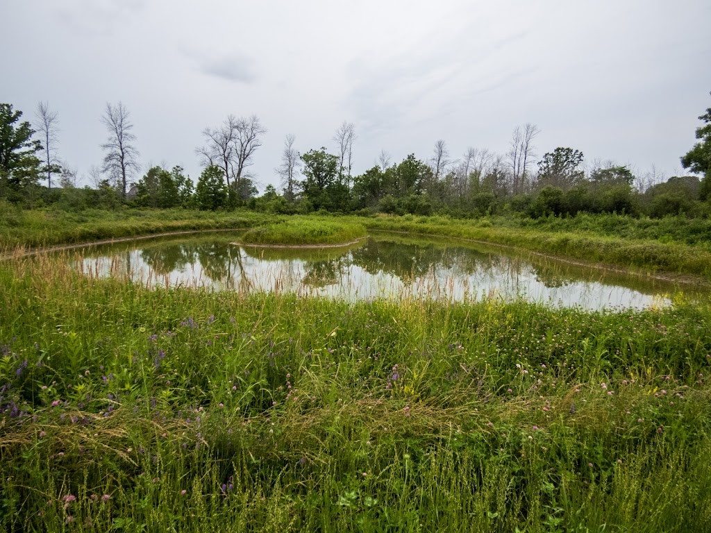 North Potters Creek Conservation Area | 935 Moira St W, Belleville, ON K0K 1K0, Canada | Phone: (613) 968-3434