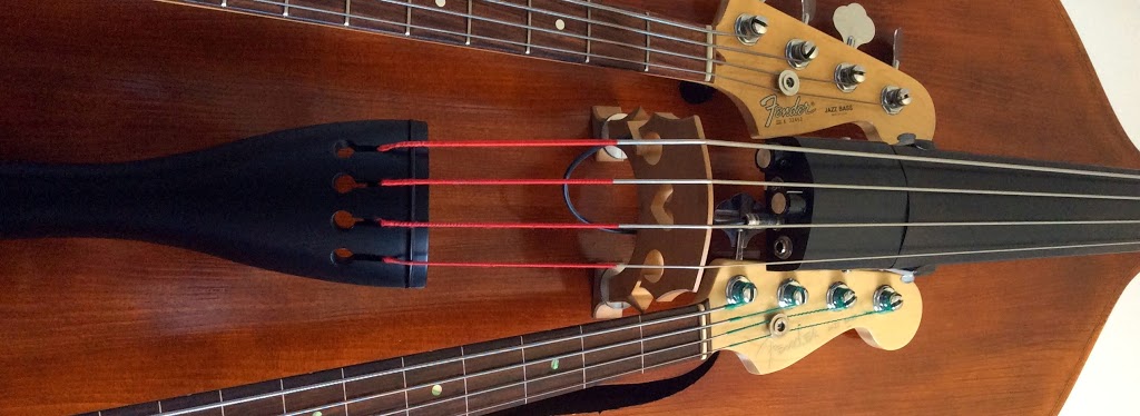 Bass Lessons With Ross Taylor | 343 Pattie Dr, Carleton Place, ON K7C 2G5, Canada