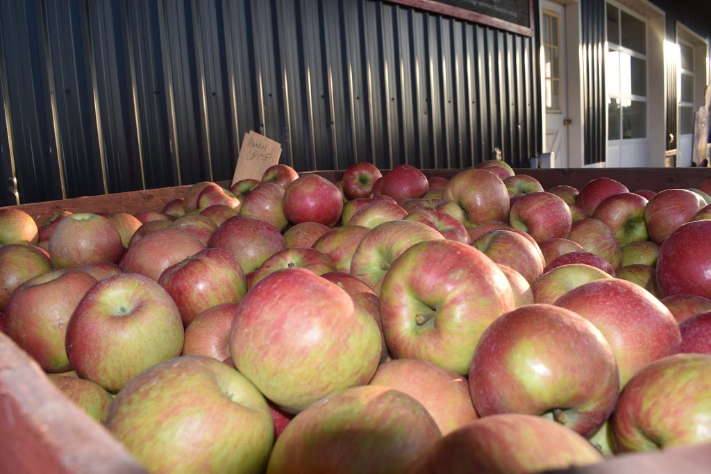 Vails Orchards | 205654 ON-26, Meaford, ON N4L 1C5, Canada | Phone: (519) 538-4928