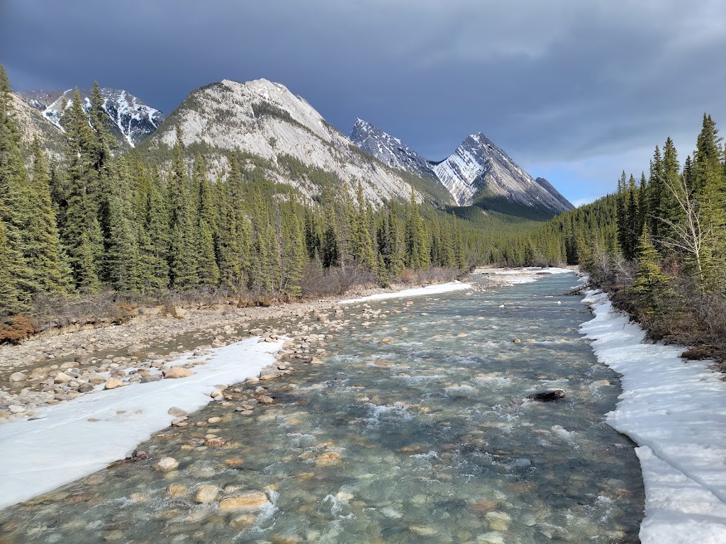 Kootenay Plains Ecological Reserve | Clearwater County, AB, Canada | Phone: (403) 845-8349