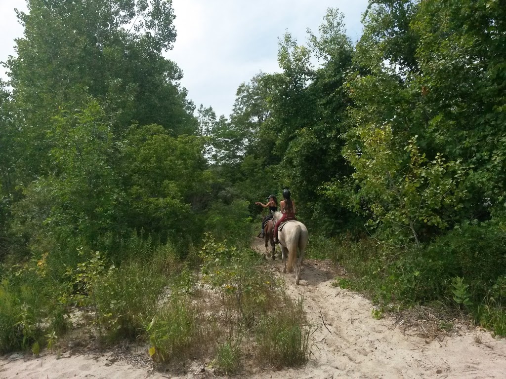 Wainfleet Wetlands Conservation Area | 10638 Quarry Road, Wainfleet, ON, Canada | Phone: (905) 788-3135