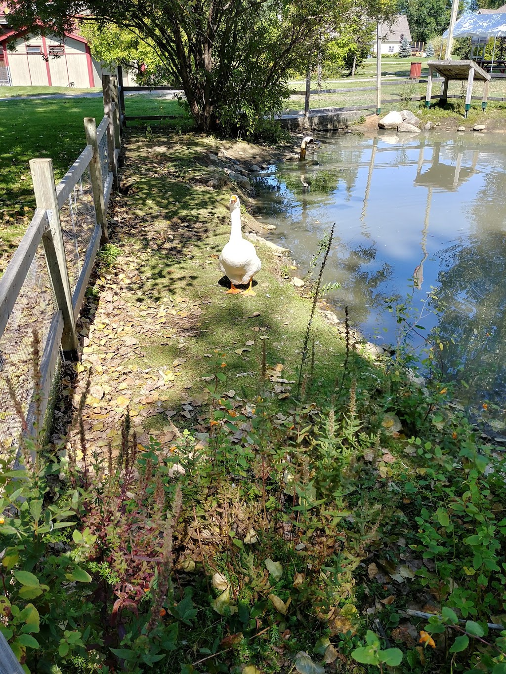 Center of Quebec Biodiversity | 1800 Avenue des Jasmins, Bécancour, QC G9H 2S2, Canada | Phone: (819) 222-5665