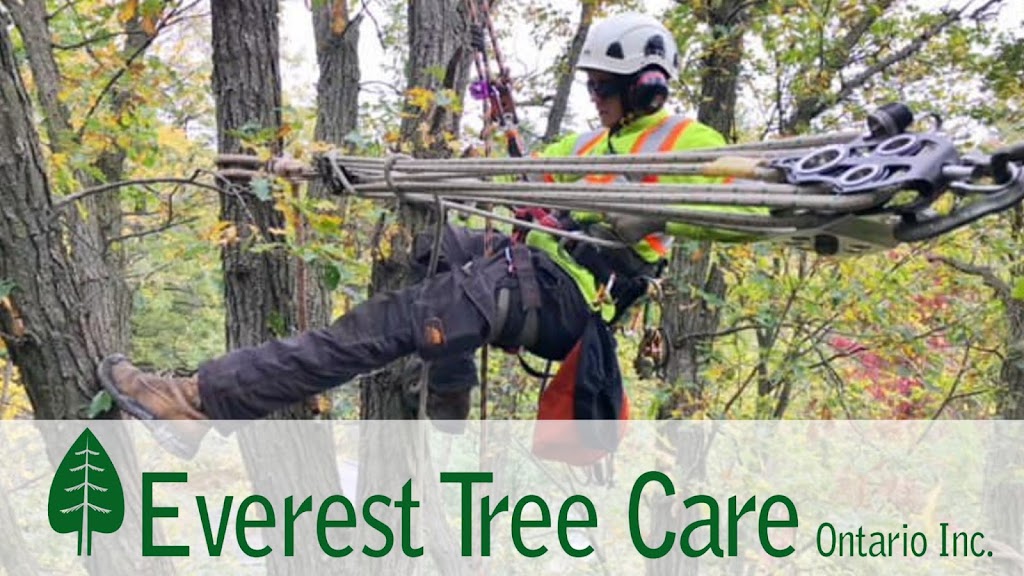 Everest Tree Care Ontario Inc. | Whitchurch-Stouffville, ON L0H 1G0, Canada | Phone: (905) 505-6033