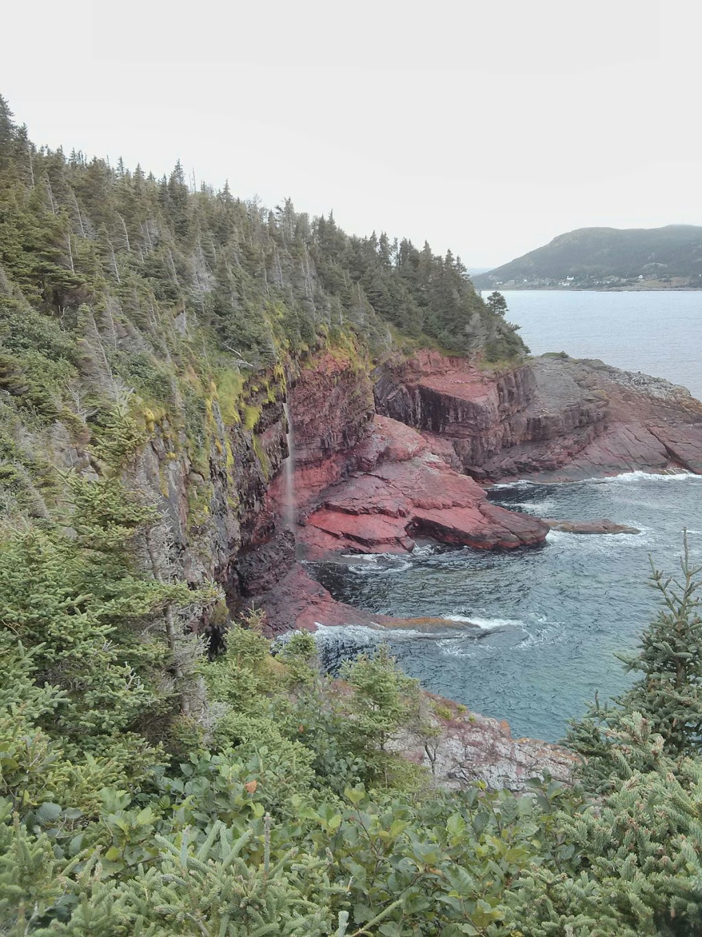 Mickeleens Path | Bears Cove Rd, Goulds, NL A1S 1R3, Canada