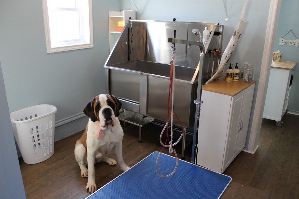 Jurassic Bark Kennels | 18 Fells Point Rd, Fenelon Falls, ON K0M 1N0, Canada | Phone: (705) 340-2925