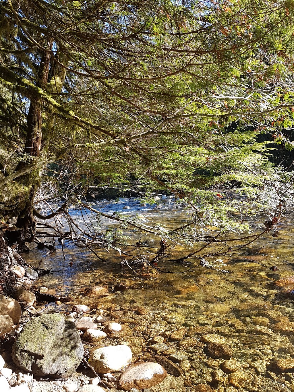 Fishermans trail | Spur 4, North Vancouver, BC V7J, Canada