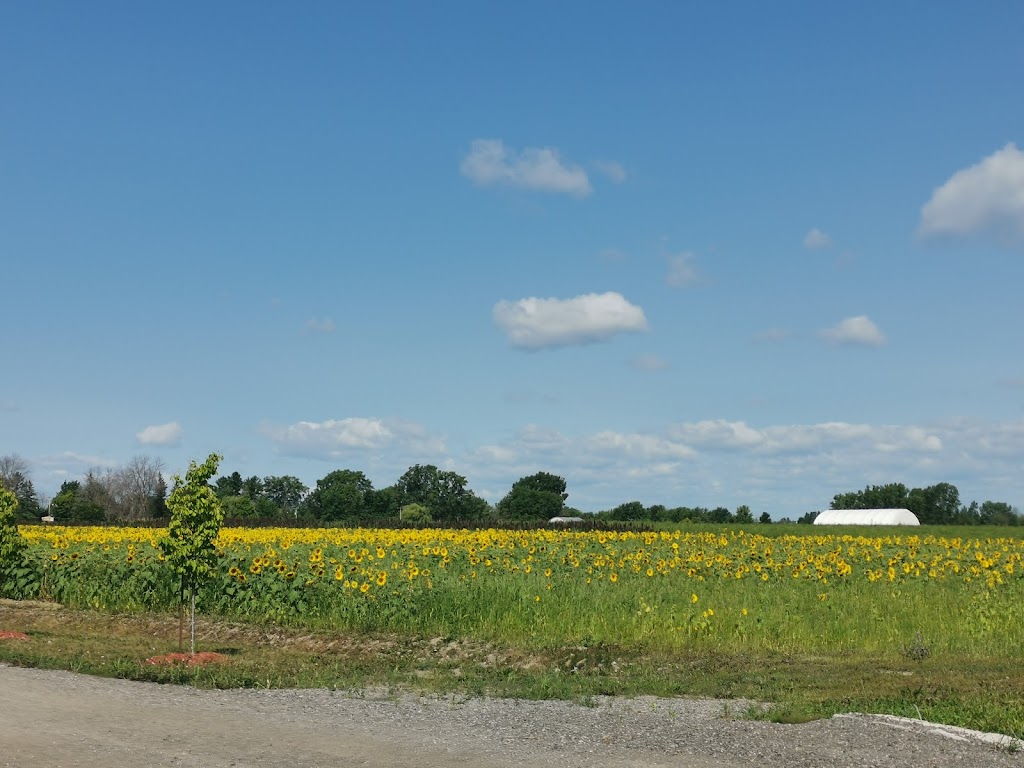 Ferme St-Ours | 2382 Chem. des Patriotes, Saint-Ours, QC J0G 1P0, Canada | Phone: (450) 785-2148