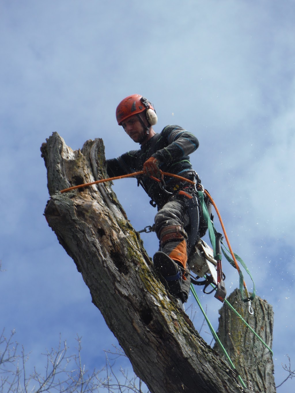 Arboriculture Carrier | 45 route 116 est, Warwick, QC J0P 1M0, Canada | Phone: (819) 350-2036