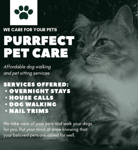 Purrfect Pet Care | 14966 83a Ave, Surrey, BC V3S 7S2, Canada | Phone: (778) 952-0045