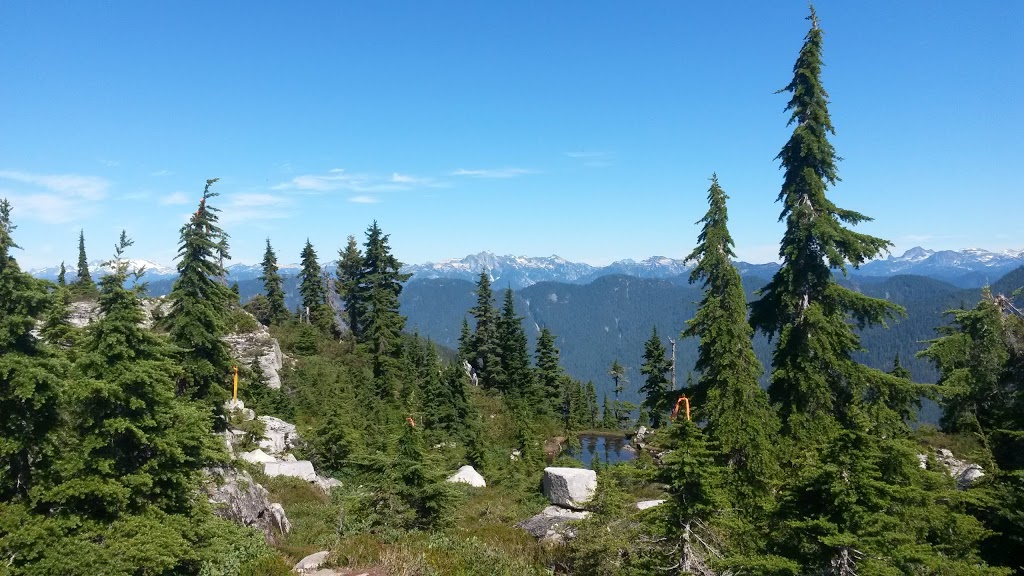 Coliseum Mountain lower East Lookout | Greater Vancouver A, BC V7K 3B2, Canada