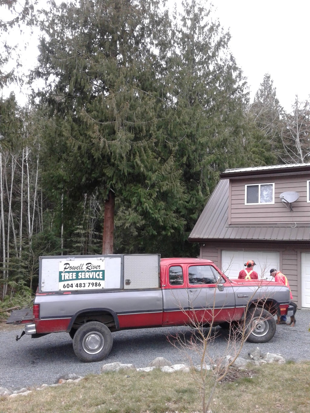 Powell River Tree Service | 5043 Manson Ave, Powell River, BC V8A 3N8, Canada | Phone: (604) 483-7986