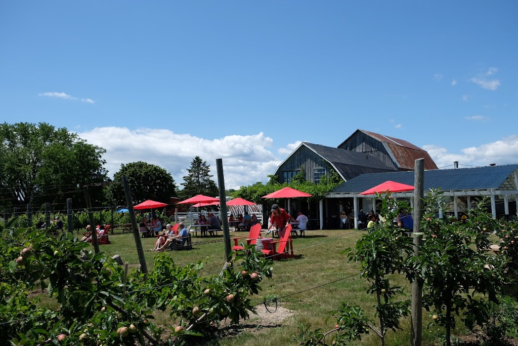 The County Cider Company - Tasting Room | 657 Bongards Crossroad, Waupoos, ON K0K 2T0, Canada | Phone: (613) 476-1022