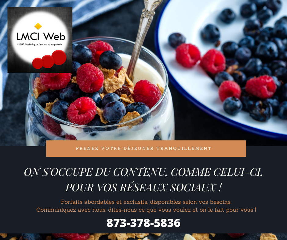 LMCIweb | 3512 Av. Beaupré, Shawinigan, QC G9N 7S3, Canada | Phone: (873) 378-5836