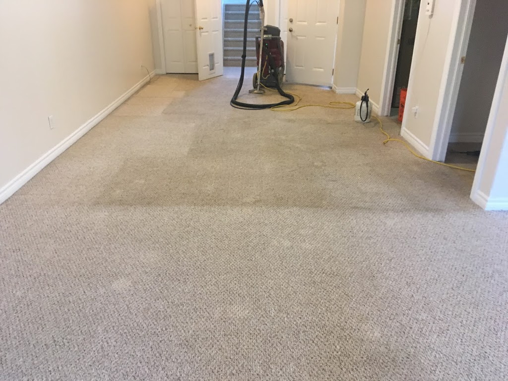 Fresh Now Carpet Care | 116 Purdy Rd, Bath, ON K0H 1G0, Canada | Phone: (613) 929-7212