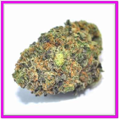 Best Weed Deals Kerrisdale by CHS Delivery | 1503 W 41st Ave W, Vancouver, BC V6M 1X7, Canada | Phone: (778) 655-2969