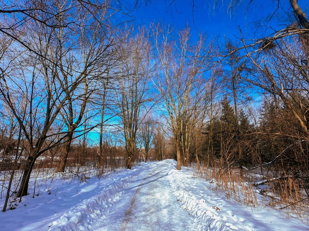 Silvercreek Skatepark | 142 Edinburgh Rd S, Guelph, ON N1H, Canada | Phone: (519) 822-1260