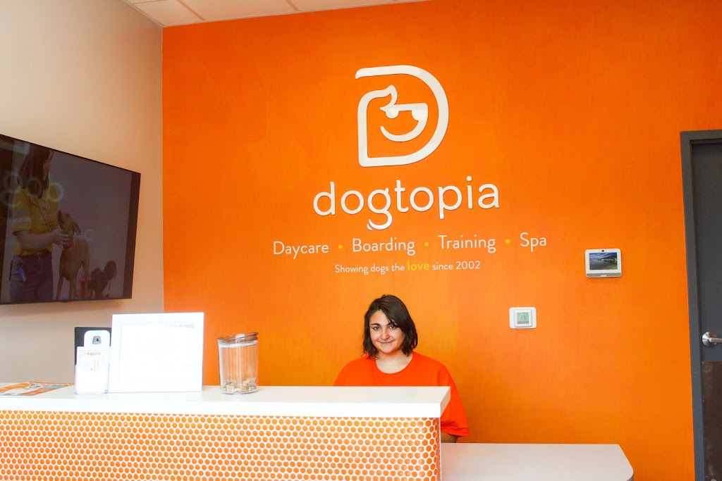 Dogtopia of Westmount | 785 Wonderland Rd S Unit A9, London, ON N6K 1M6, Canada | Phone: (226) 271-0880