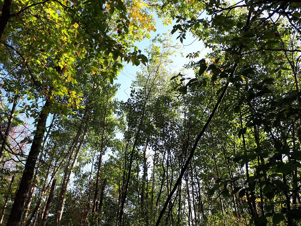 Parc de la Rivière Beauport Sud | Quebec City, QC G1E 2J7, Canada