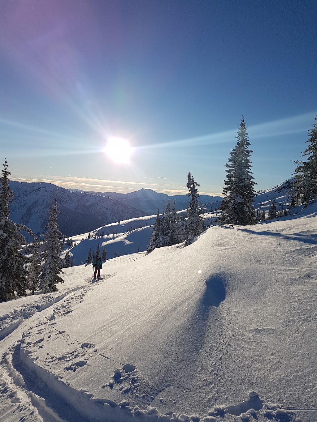 Blanket Glacier Chalet | British Columbia V0E 2S0, Canada | Phone: (403) 678-4102