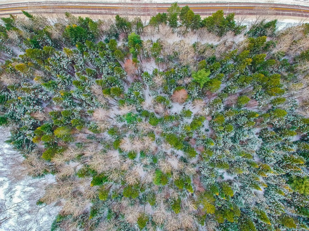 Parc mauricie | Saint-Mathieu-du-Parc, QC G0X 1N0, Canada