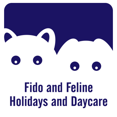 Fido & Feline Holidays and Daycare | 7 Oak St, Guelph, ON N1G 4R7, Canada | Phone: (519) 836-2813