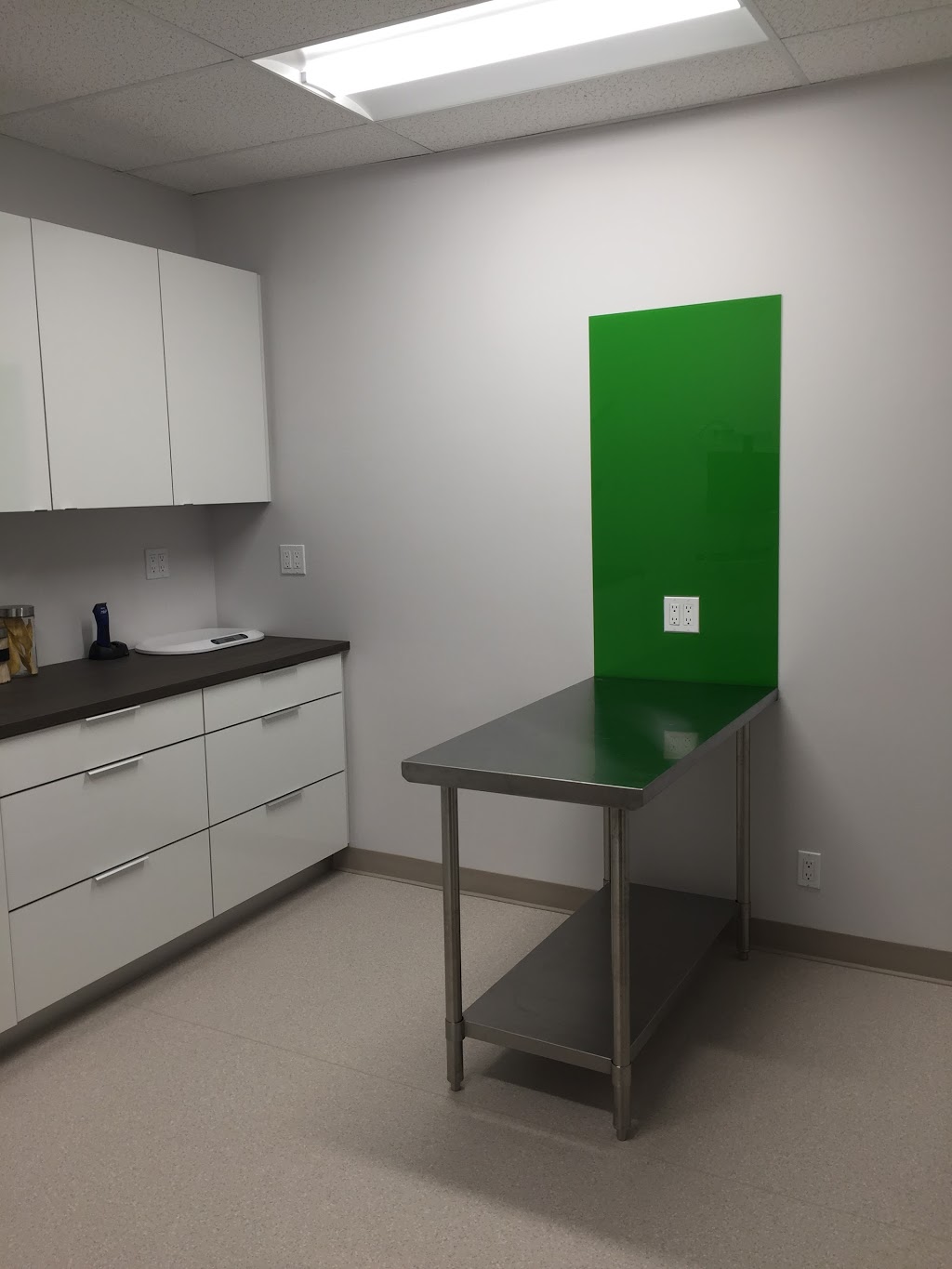 Clinique Vétérinaire Animalia | 273 Boulevard Sir-Wilfrid-Laurier, Mont-Saint-Hilaire, QC J3H 3N8, Canada | Phone: (450) 339-4539