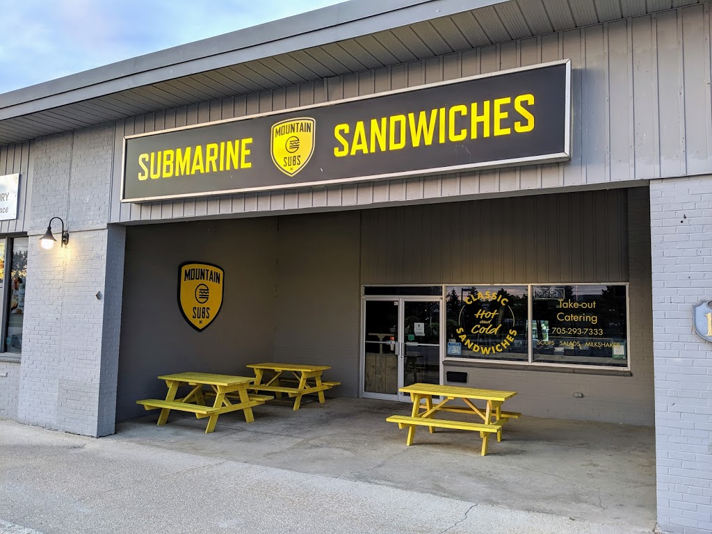Mountain Subs Inc | 20 Balsam St Unit #13, Collingwood, ON L9Y 4H7, Canada | Phone: (705) 293-7333