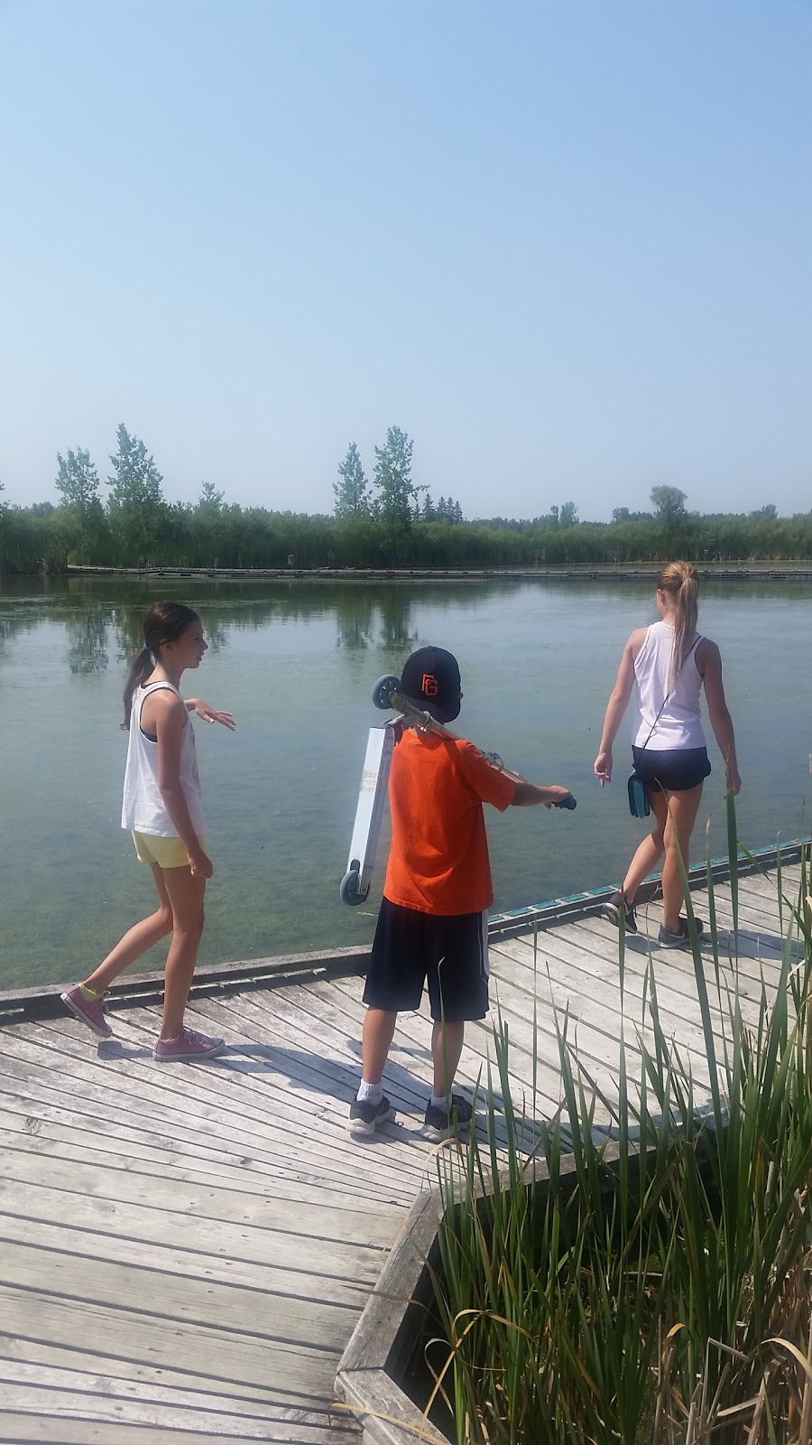 Wetland Boardwalk Trail | southwest, Winnipeg Ave, Winnipeg, MB R3P, Canada