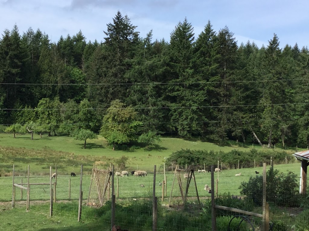 North End Farm | 2521 N End Rd, Salt Spring Island, BC V8K 1A5, Canada | Phone: (250) 537-4442