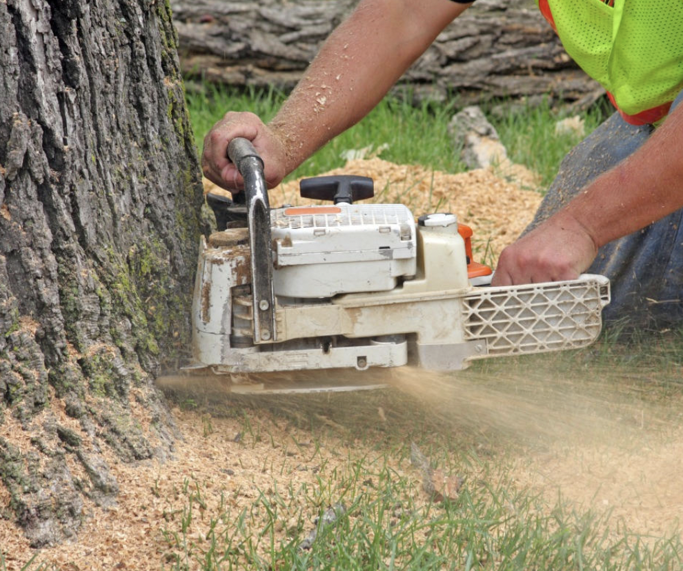 Stump Up Tree Service | 81 Hopkins Ct, Hamilton, ON L9H 5M7, Canada | Phone: (905) 379-7245