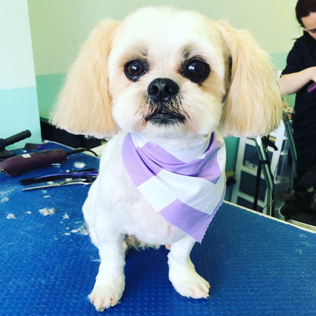 Bluffs Dog Grooming/Kristy’s Mutt Cutts | 2430 Kingston Rd, Scarborough, ON M1N 1V3, Canada | Phone: (416) 261-9855