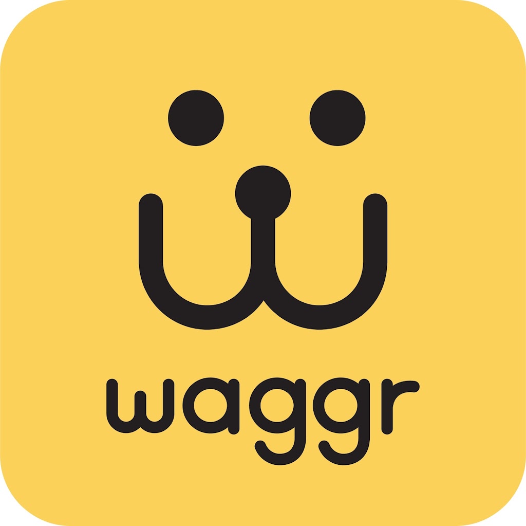 waggr dog walking | 170 Sumach St, Toronto, ON M5A 0C3, Canada | Phone: (416) 697-1016