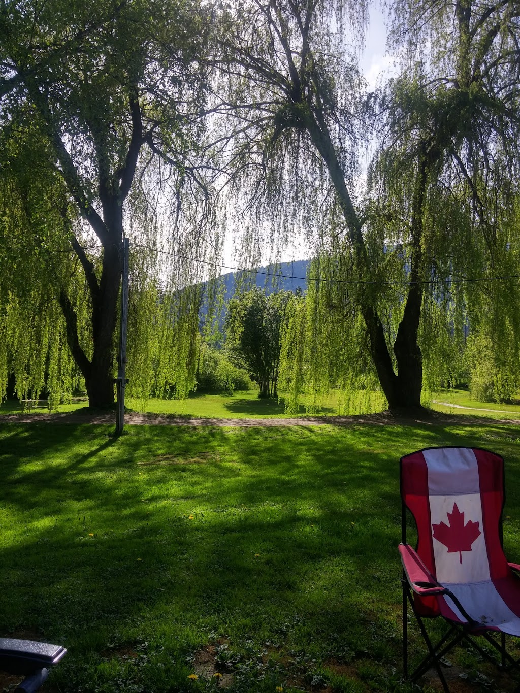 Family Tree Riverside RV & Campground | 2055 Trans-Canada Hwy, Sicamous, BC V0E 2V1, Canada | Phone: (250) 836-2583